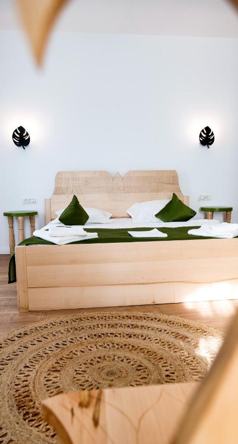 Conacul Olarilor Bed & Breakfast บายาเดเฟียร์ ภายนอก รูปภาพ